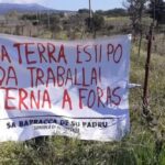 Diario di Luisa dal fronte della Resistenza contro l’eolico: dal 20 al 26 gennaio 2025